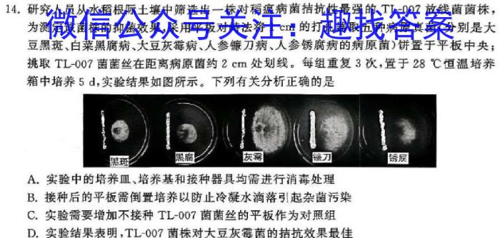 2024年安徽省普通高中学业水平选择性考试冲刺压轴卷(二)2生物学试题答案