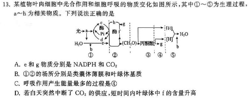 安徽省毛坦厂中学2023~2024下学期期中考试高一(241728D)生物学部分