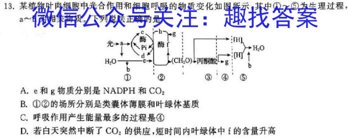 2024年全国普通高等学校招生统一考试·A区专用 JY高三终极一考卷(二)2生物学试题答案