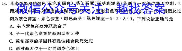 河南省2024届高三年级TOP二十名校质检一生物学试题答案