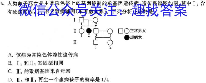 炎德英才大联考长郡中学2024届高三月考试卷（六）生物学试题答案