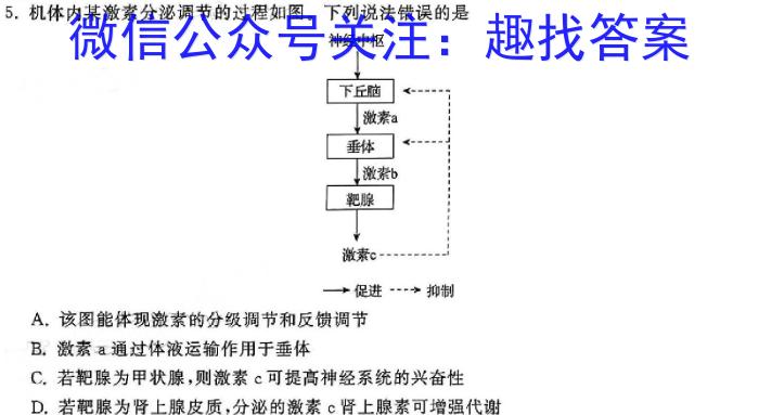 陕西省咸阳市2023-2024学年下学期高二期末统考生物学试题答案