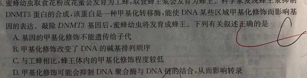 安徽省2023-2024学年第二学期七年级阶段巩固练习生物学部分