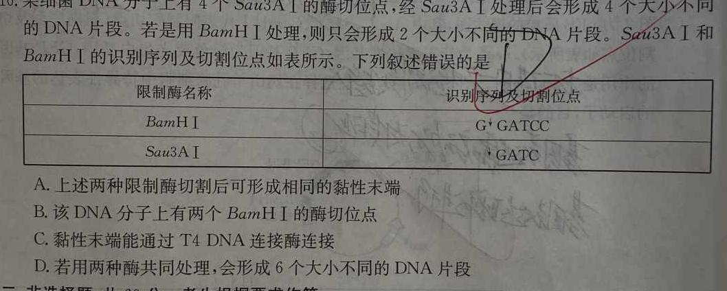 百师联盟 2023-2024学年度高二阶段性考试生物