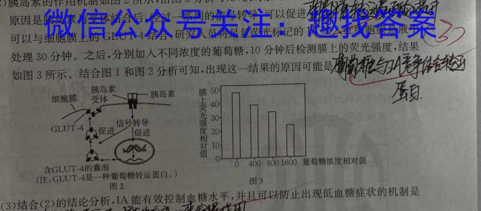 鼎成大联考 2024年河南省普通高中招生考试试卷(二)2生物