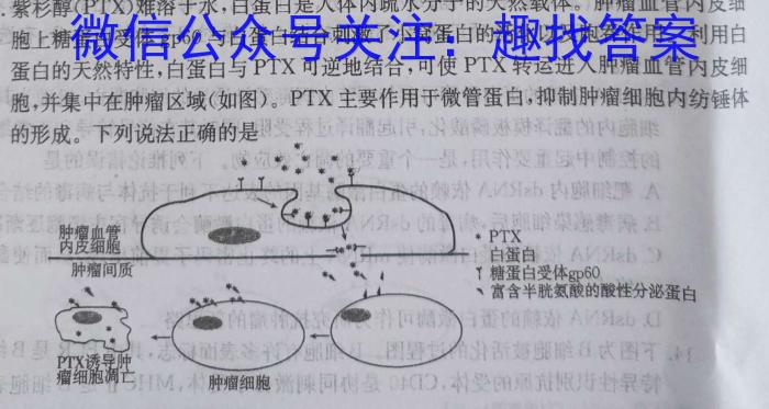 湖北省武汉市江岸区2023-2024学年度第二学期期末质量检测（高一）生物学试题答案