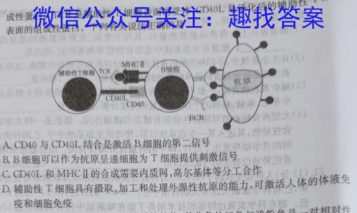 衡水金卷先享题·月考卷 2023-2024学年度下学期高二年级一调考试生物学试题答案