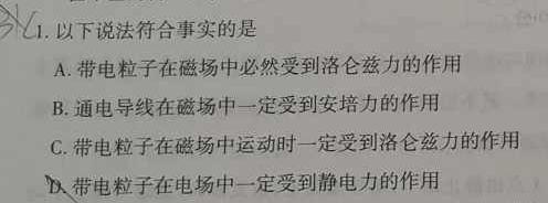 安徽省亳州市利辛县2024-2025学年第一学期利辛四中八年级开学考试(物理)试卷答案