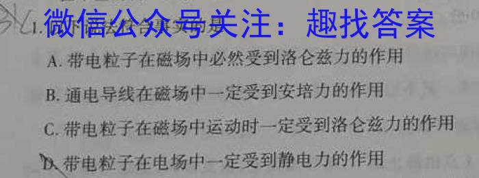 江西省2024年初中学业水平模拟考试（WS·J区专用II4）物理`