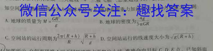 2024年普通高等学校招生全国统一考试猜题密卷(二)2物理`