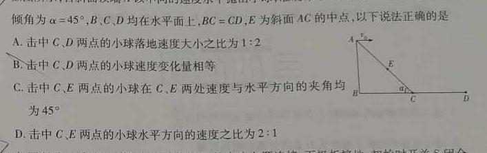 2024届浙江七彩阳光联盟高三联考-物理试卷答案