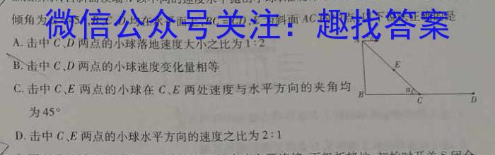 2023学年第二学期杭州市高二年级教学质量检测（期末考试）物理试卷答案