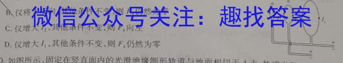 山西省2024年中考模拟示范卷（八）物理`