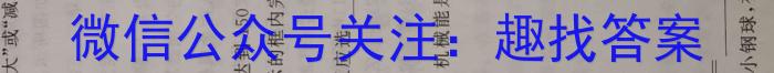 2024届四川大数据高三2月联考物理试卷答案