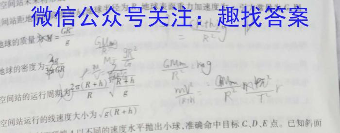 名校计划 2024年河北省中考适应性模拟检测(仿真一)物理`