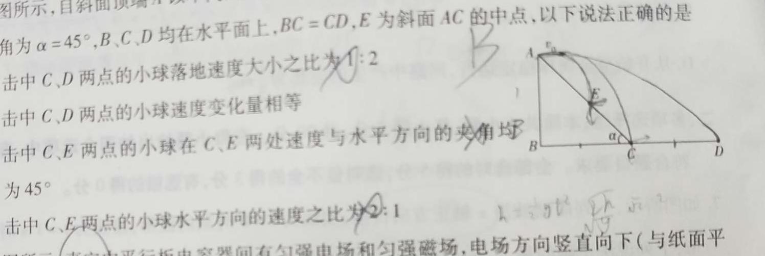 [今日更新]湖南高一年级3月阶段性考试(三角套三角).物理试卷答案