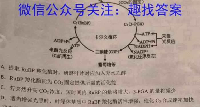 江西省2023-2024学年度七校协作体高一年级下学期期末联考生物学试题答案