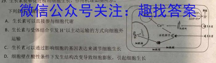 2024年陕西省九年级初中学业水平考试信息卷(B)生物学试题答案