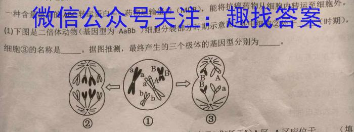 2024年湖北省新高考信息卷(三)3生物学试题答案