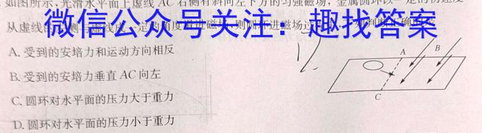 衡水金卷先享题压轴卷2024答案(新教材)1物理`