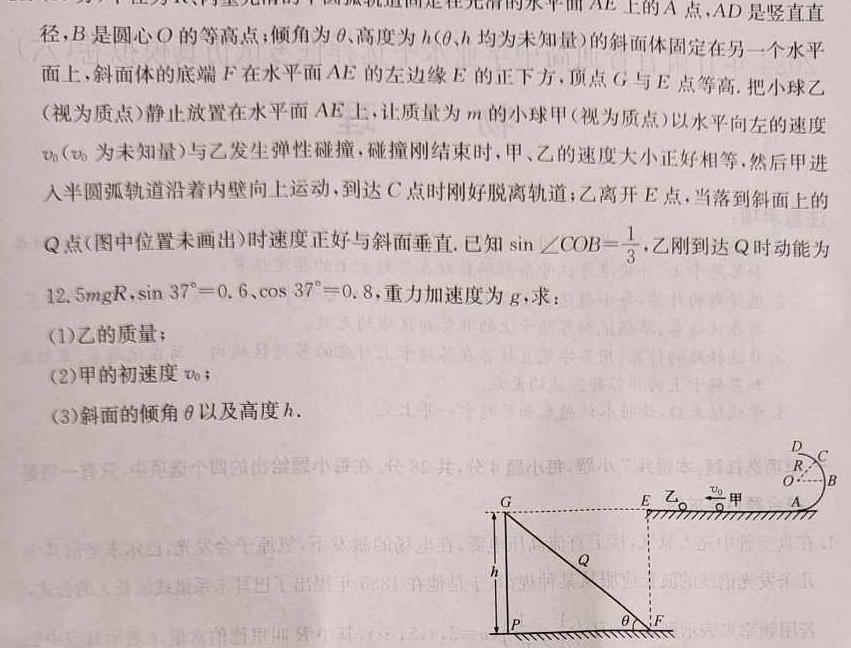 贵州省安顺市全市2023~2024学年度高二第二学期期末教学质量监测考试(物理)试卷答案