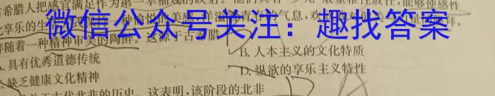 洛平许济2023-2024学年高三第四次质量检测历史试卷