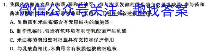 东北师大附中2023-2024学年高三下学期第六次模拟考试生物学试题答案