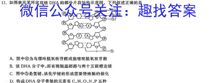 江西省2024年"三新"协同教研共同体高二联考生物学试题答案