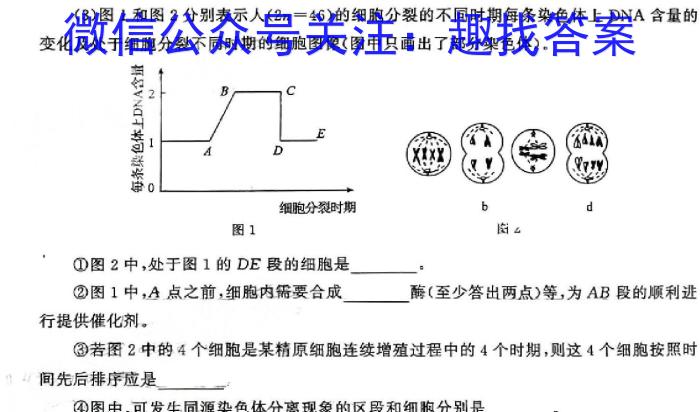 青海省格尔木市2024届高三第三次三校联考(24615C)生物学试题答案