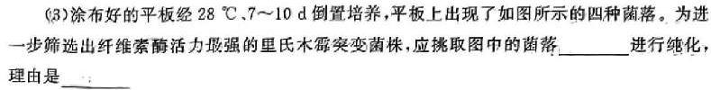 ［内蒙古大联考］内蒙古2023-2024学年度第二学期高二年级4月联考生物学试题答案