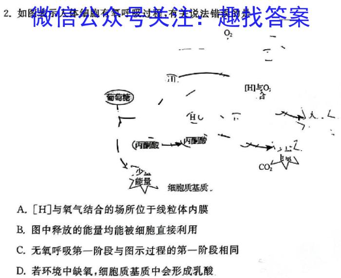 学林教育 2024年陕西省初中学业水平考试·全真模拟卷(五)5生物学试题答案