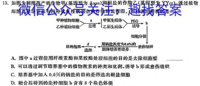 齐市普高联谊校2023-2024学年高一年级下学期期中考试(24053A)生物学试题答案