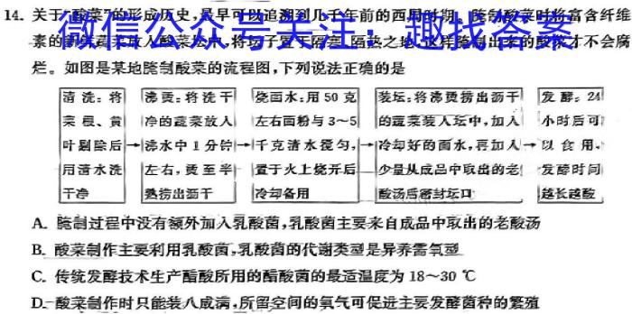 河北省邢台市2024-2025学年第一学期高二年级9月开学考试生物学试题答案