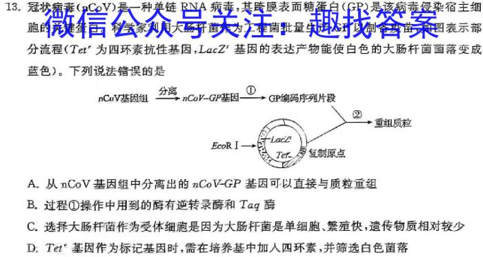 洛阳市2023-2024学年高二质量检测(2024.6)生物学试题答案