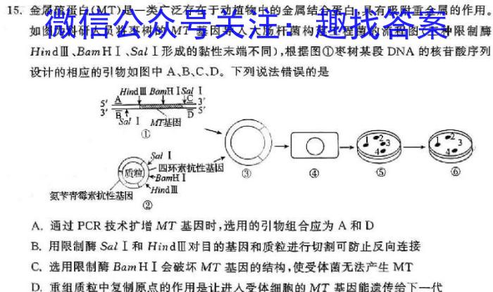 九师联盟 2024届山西省高三4月联考生物学试题答案