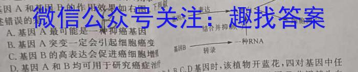 名校计划2024年河北省中考适应性模拟检测试卷(预测一)生物学试题答案