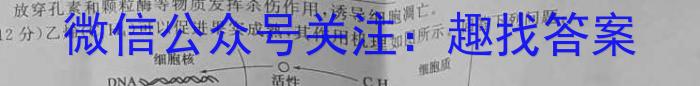 安徽省蚌埠市2024届[蚌埠四模]高三第四次教学质量检查考试生物学试题答案