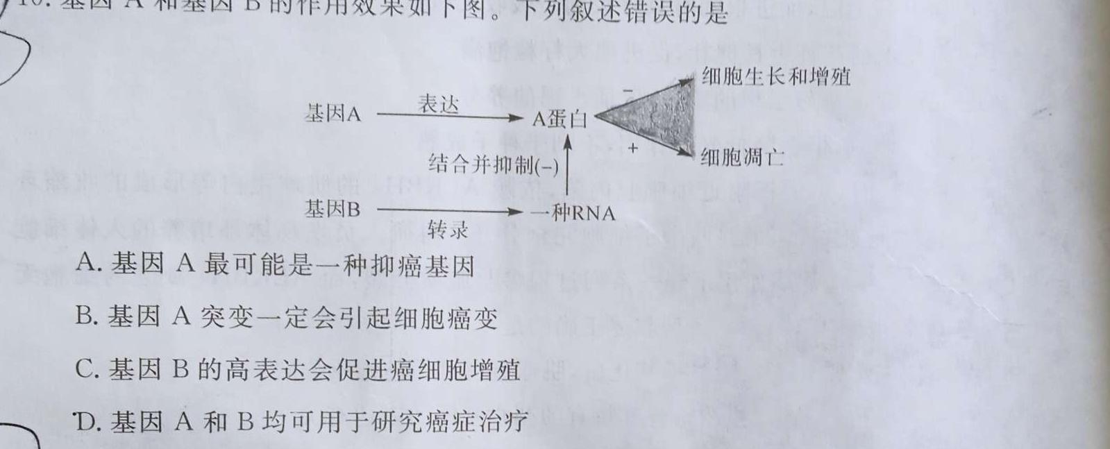 2023~2024学年度苏锡常镇四市高三教学情况调研(二)生物