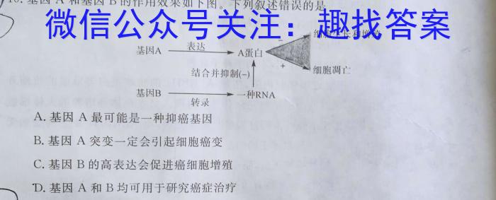 陕西省2024年九年级教学素养摸底测评5LR生物