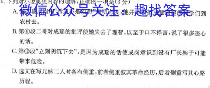 中考必杀技2024年山西省初中学业水平考试B卷语文