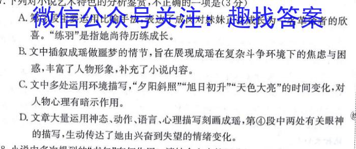 陕西省合阳县2024年初中学业水平第二次模拟考试A语文