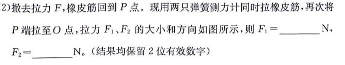 [今日更新]［河南大联考］河南省2024届高三年级4月联考（指南针）.物理试卷答案