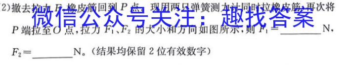 四川省成都七中高2023~2024学年度2024届高三(下) 二诊模拟考试物理`