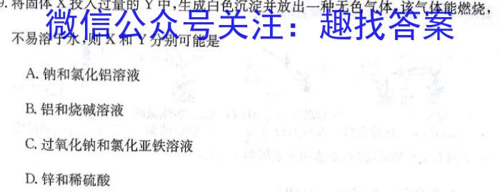 易点通 2024年山西初中学业水平测试靶向联考试卷(一)1化学