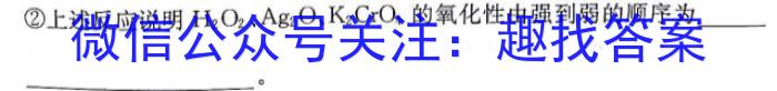 【精品】2024年安徽省初中学业水平考试·乾卷化学