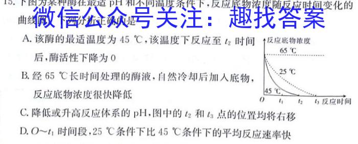 2024年湖北省新高考信息卷(四)生物