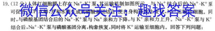 ［高二］齐市普高联谊校2023~2024学年下学期期中考试（24053B）生物学试题答案