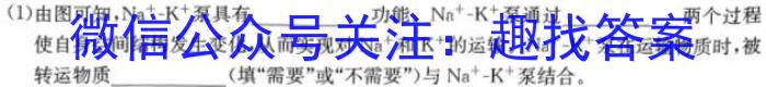 衡水金卷先享题月考卷 2023-2024学年度下学期高三一调考试生物学试题答案