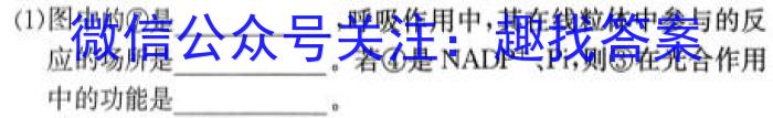 安徽第一卷·2023-2024学年安徽省九年级教学质量检测七Ⅶ(5月)生物学试题答案