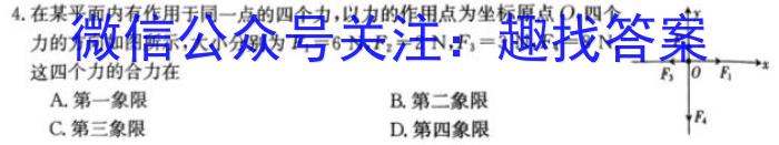 衡水大联考·山东省2024届高三年级2月份大联考物理试卷答案